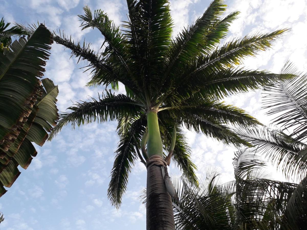 Ti Case Gwada Location Sainte-Anne  Dış mekan fotoğraf